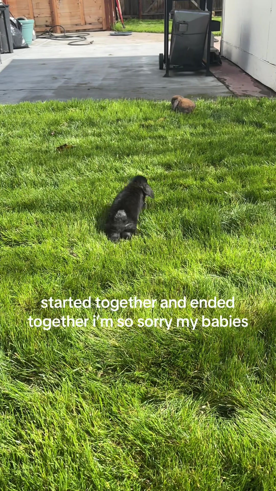 @bdhyxgav