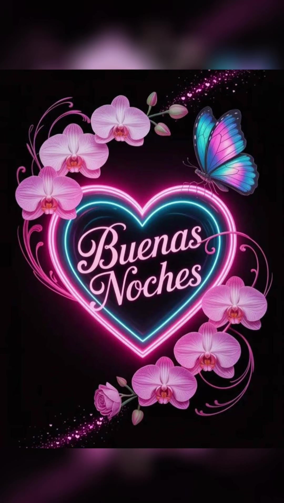 @elvirasvg