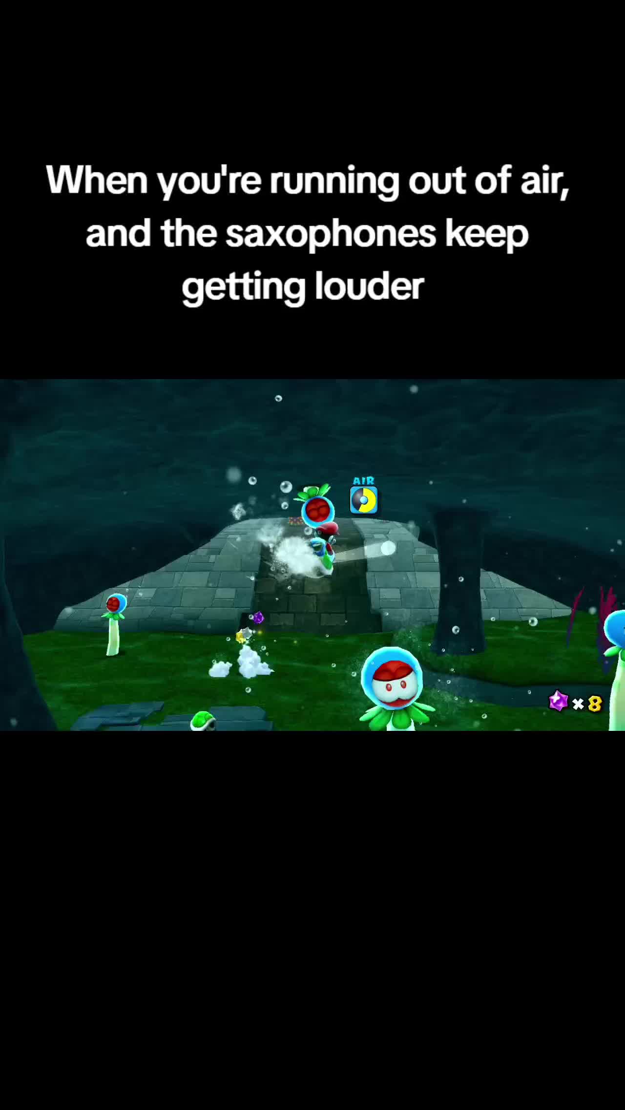 @Mooky