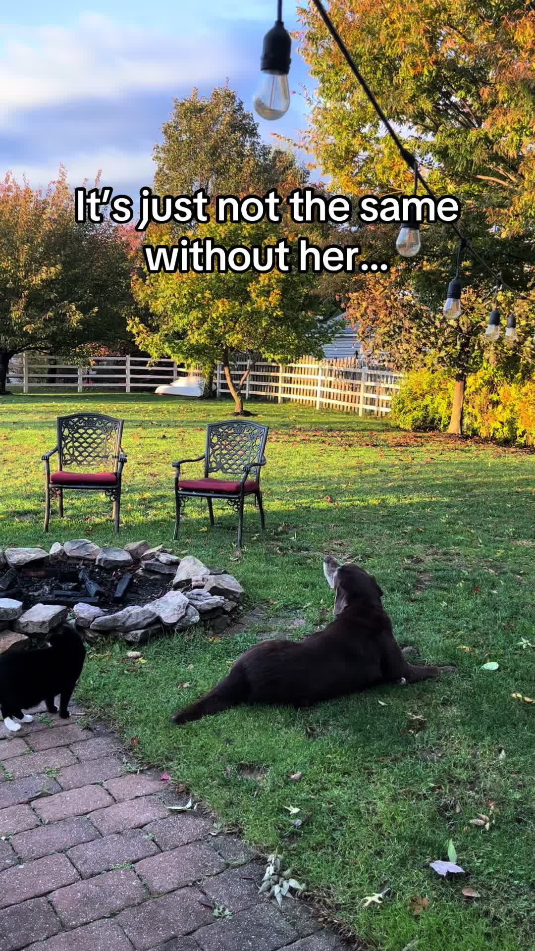 @CubedMolly