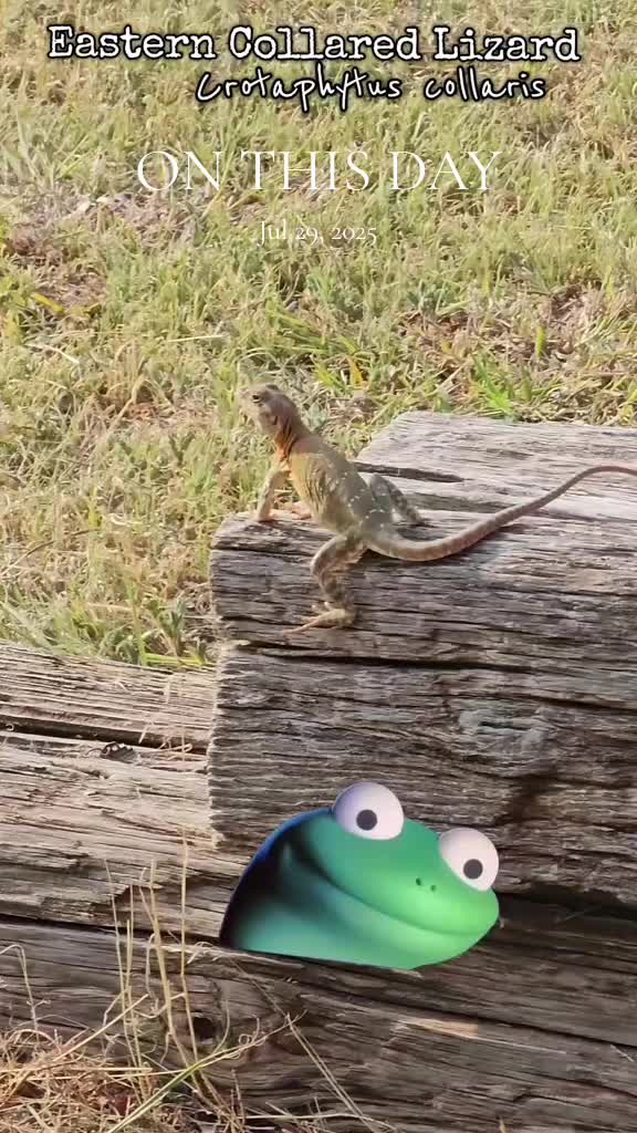 @ThatOKBiologist