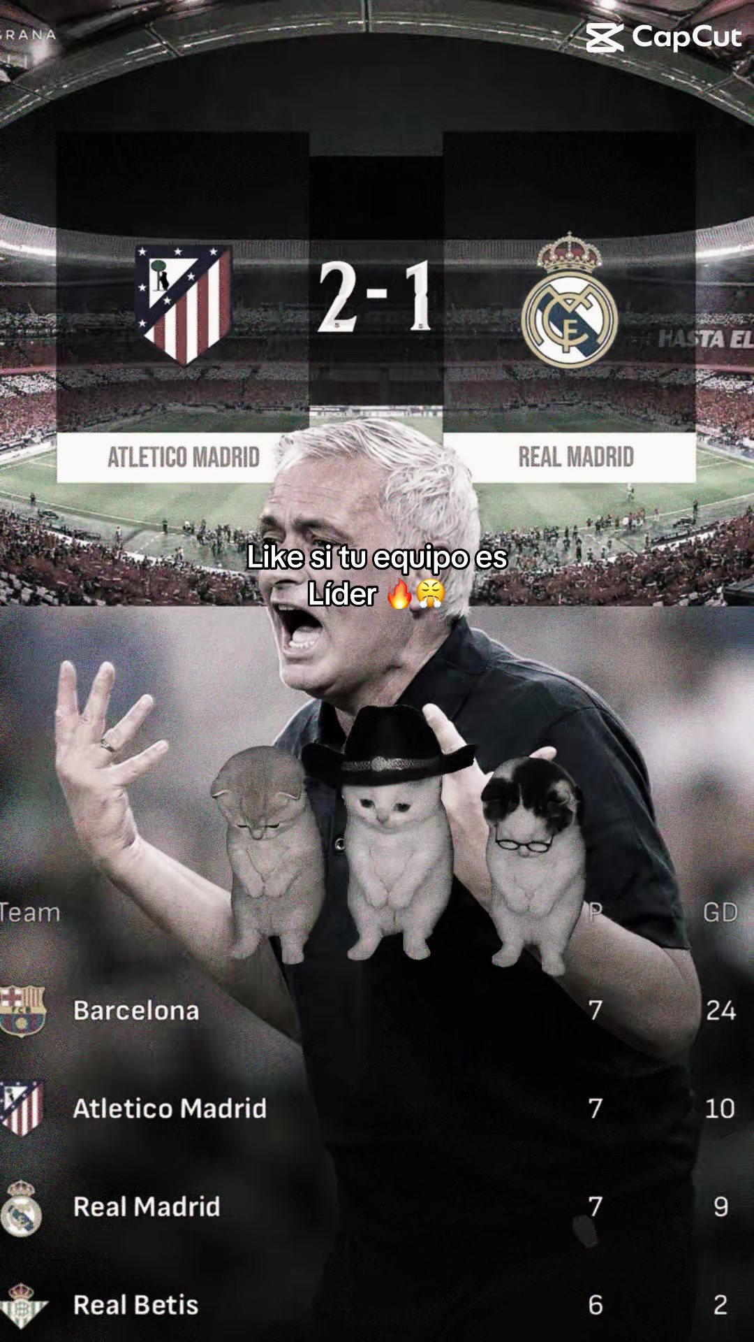 @mini fcb
