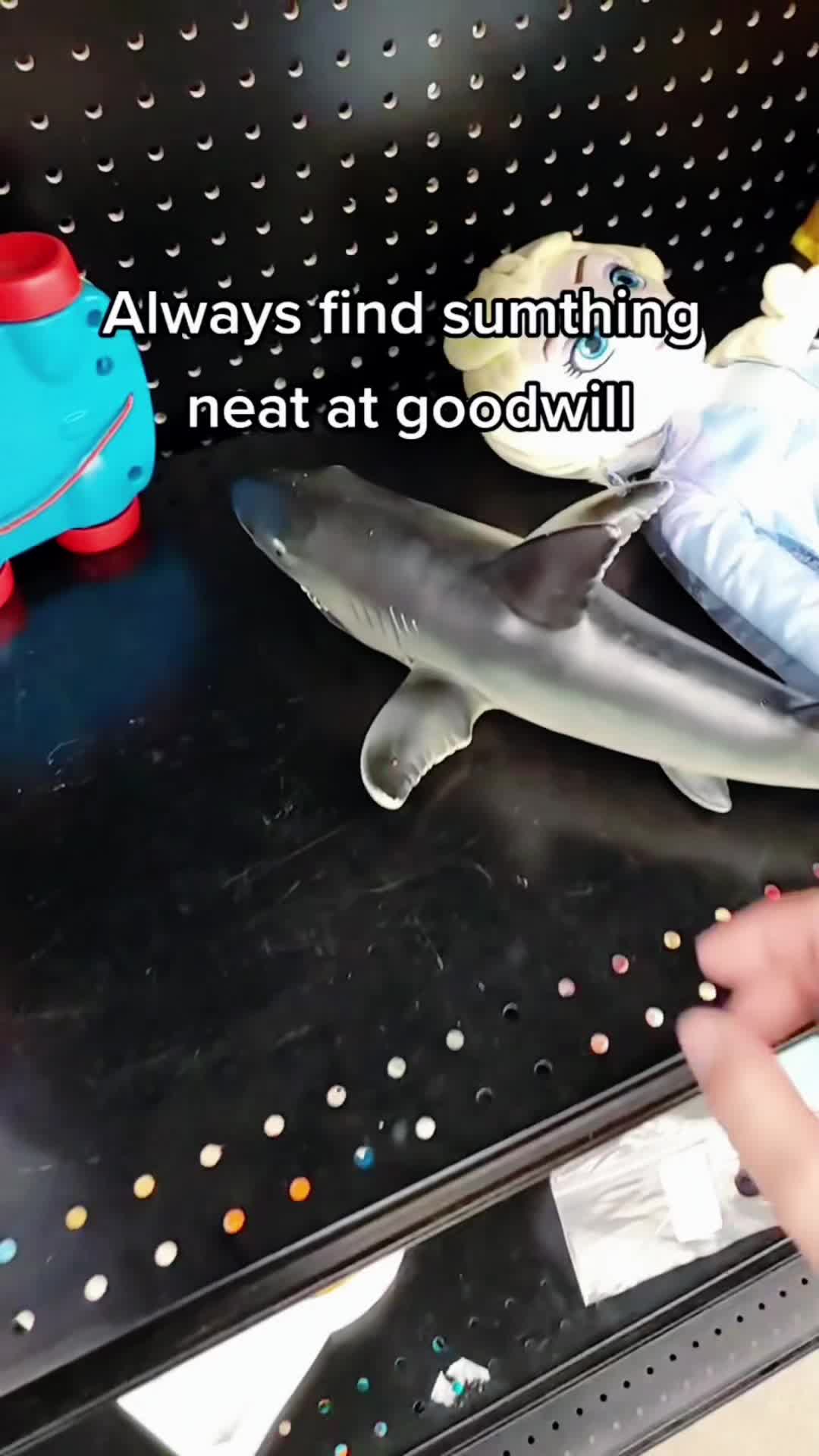 @petfunnytime6368
