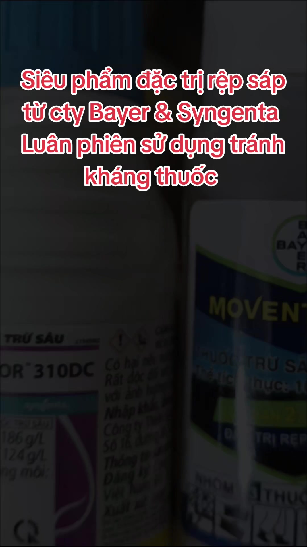 @VTNN Minh Tuấn
