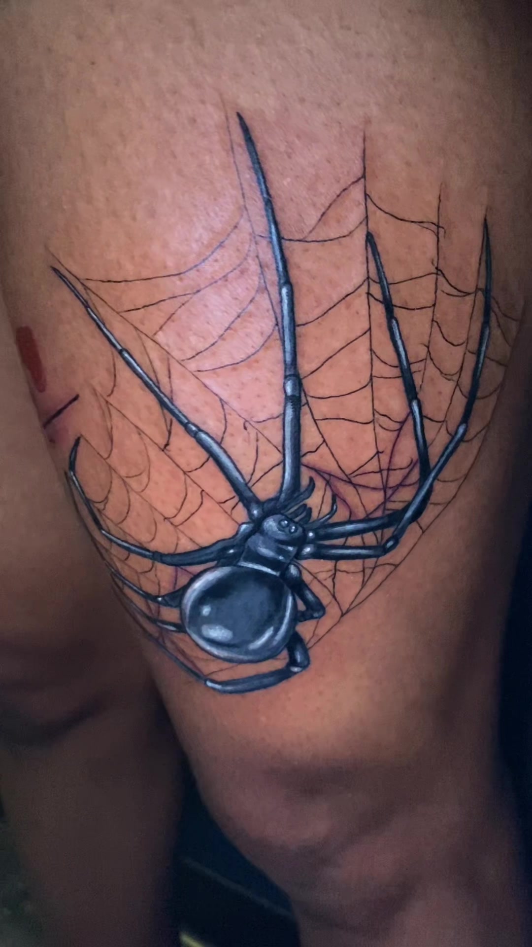 @Spider_Eyez