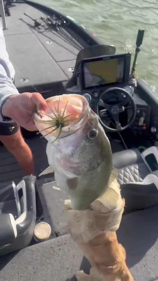@braydenstokerfishing