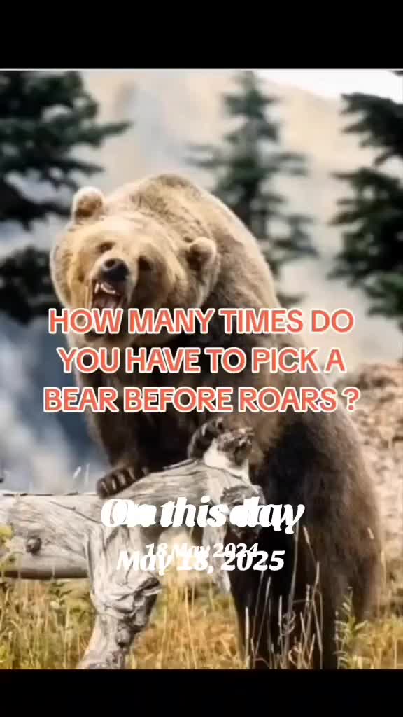 @moist_fajita_yaherr_me