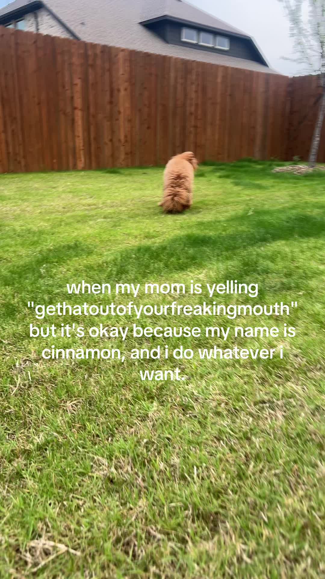 @hallayah ౨ৎ
