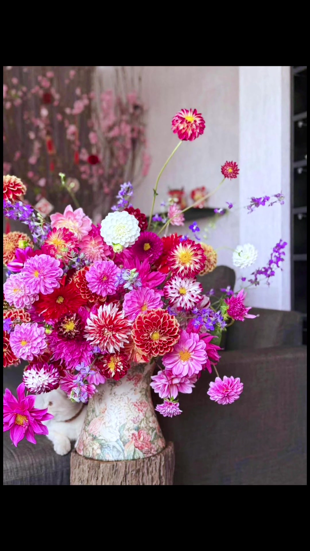 @Changchangtrang flower