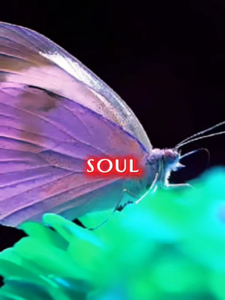 @🦋MamaBearShelley🦋