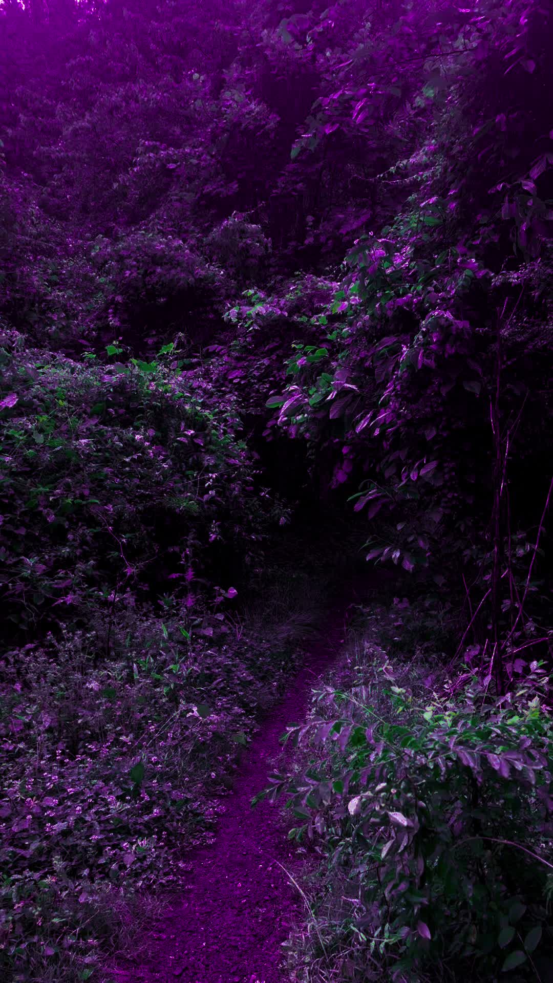 @DarkSpaces