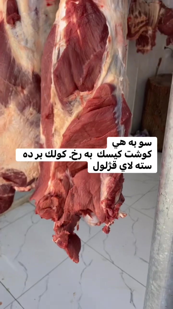 @قژلول قصاب
