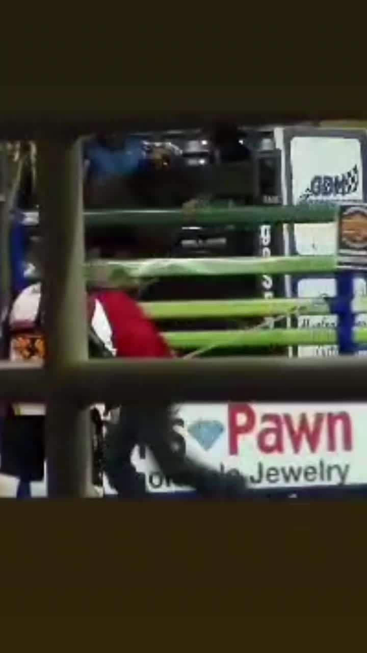 @RickyRingerDaBullStinger