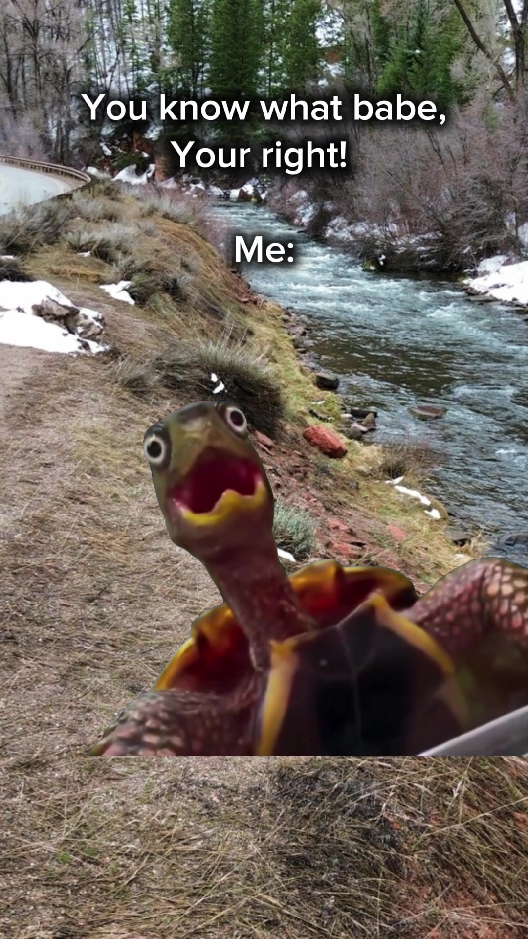 @That Saiyan Will