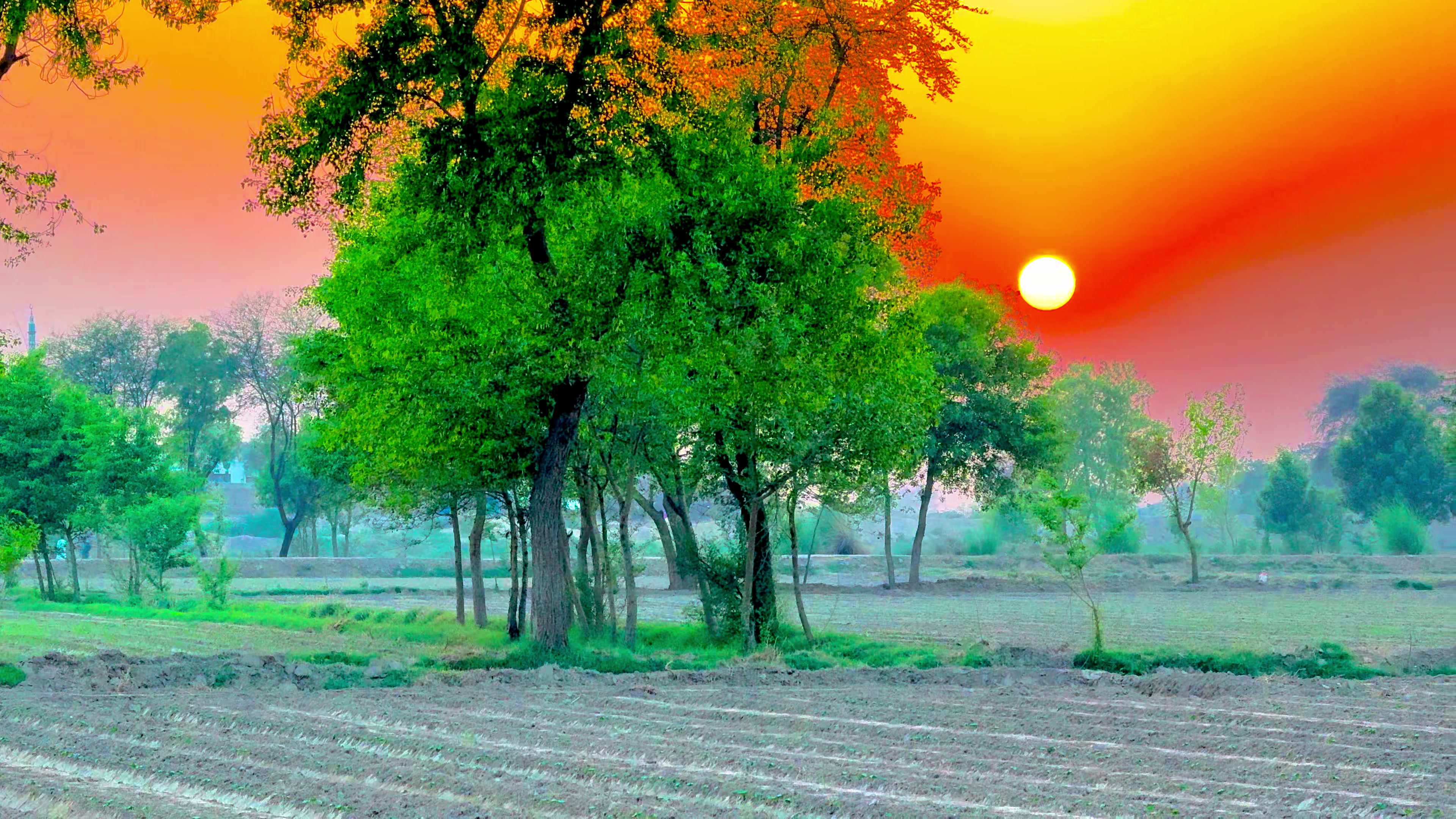@🌾میں۔ میرا۔ پنڈ🎋