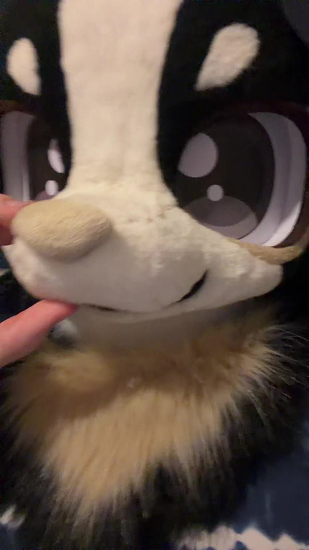 @Oreo