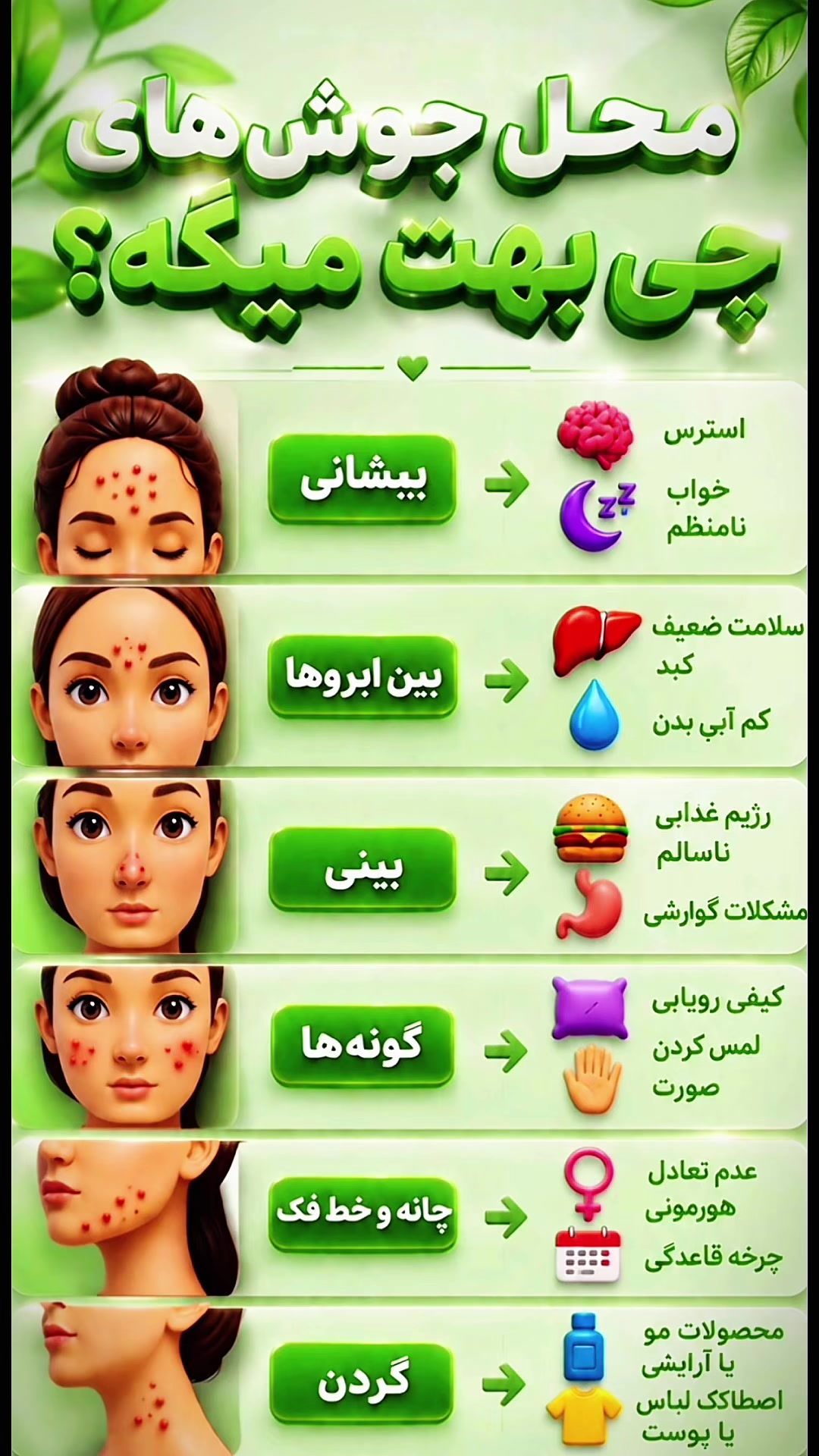 @Sara Hashimi