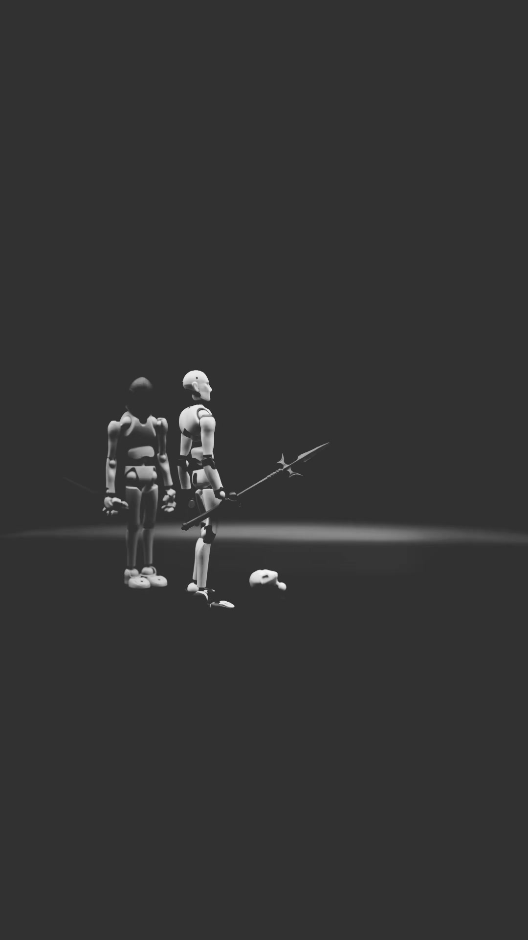 @fiascostopmotion