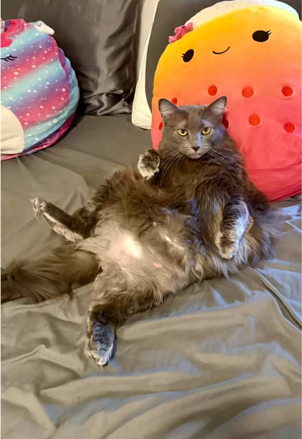 @โหเฟ judy ๐๐หโ