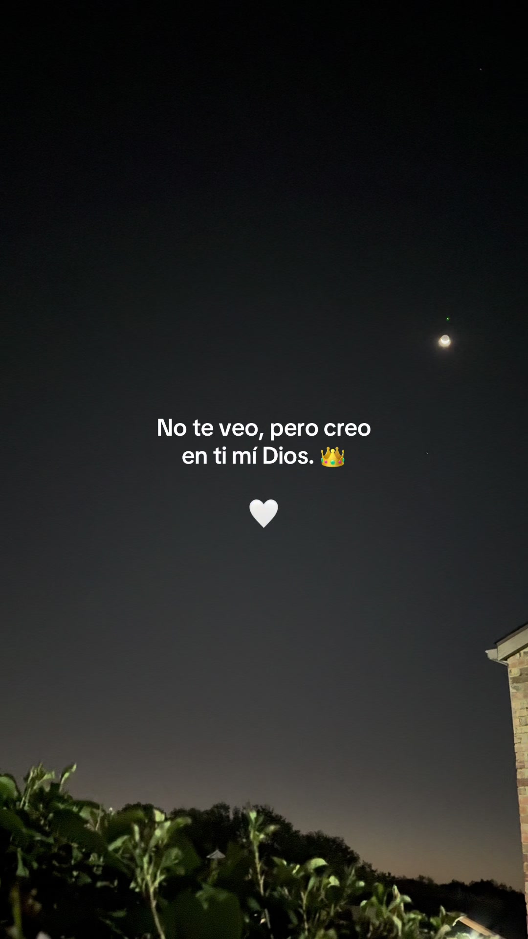 @🌻✨𝐸𝐿𝐼𝒵𝒜𝐵𝐸𝒯𝐻✨🌻