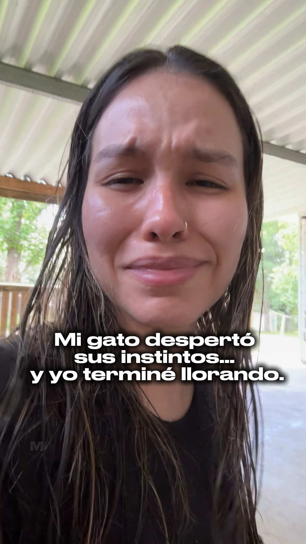 @OyeFer