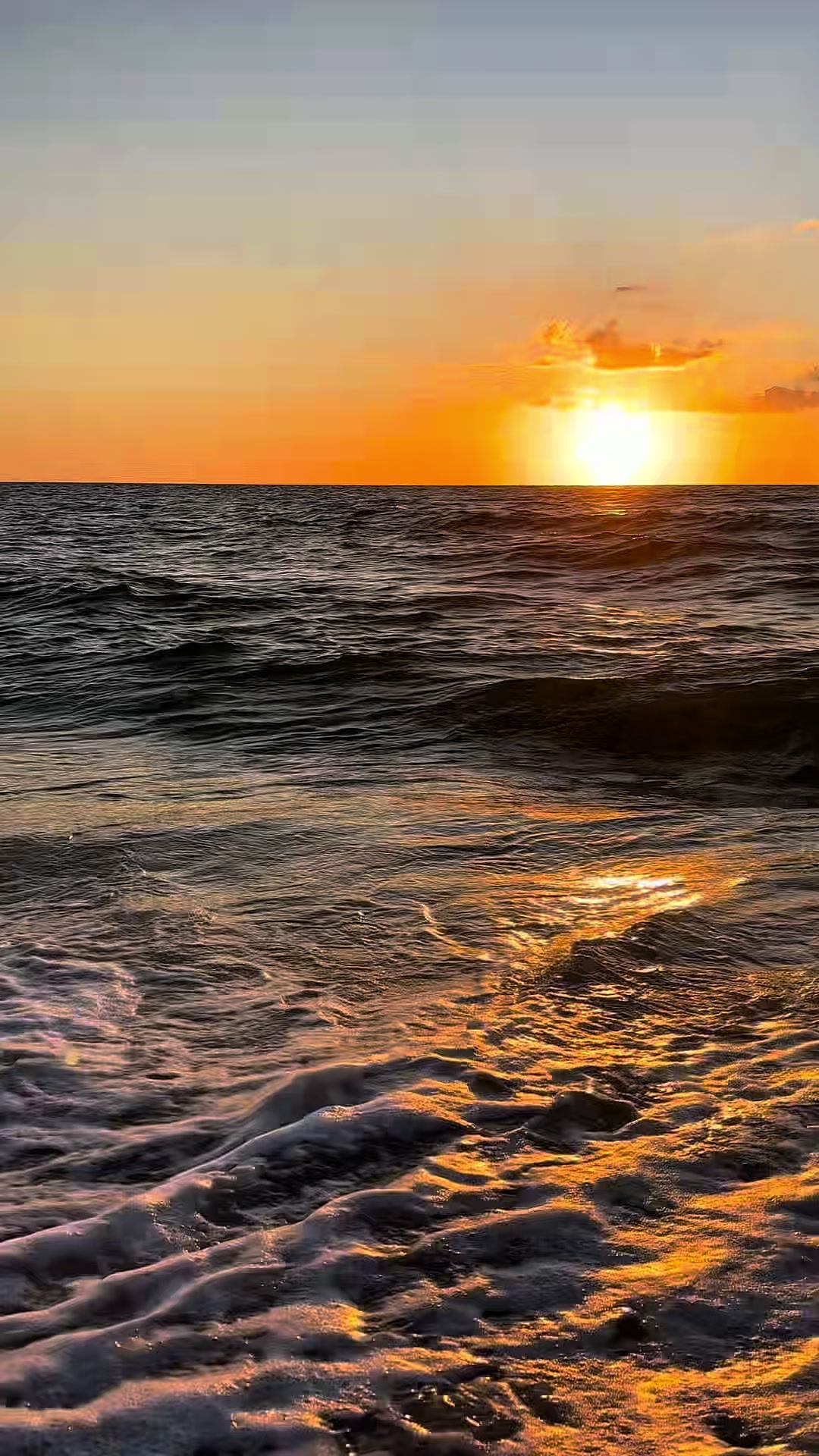 @Sarasota Local Guide 🌊🏝️