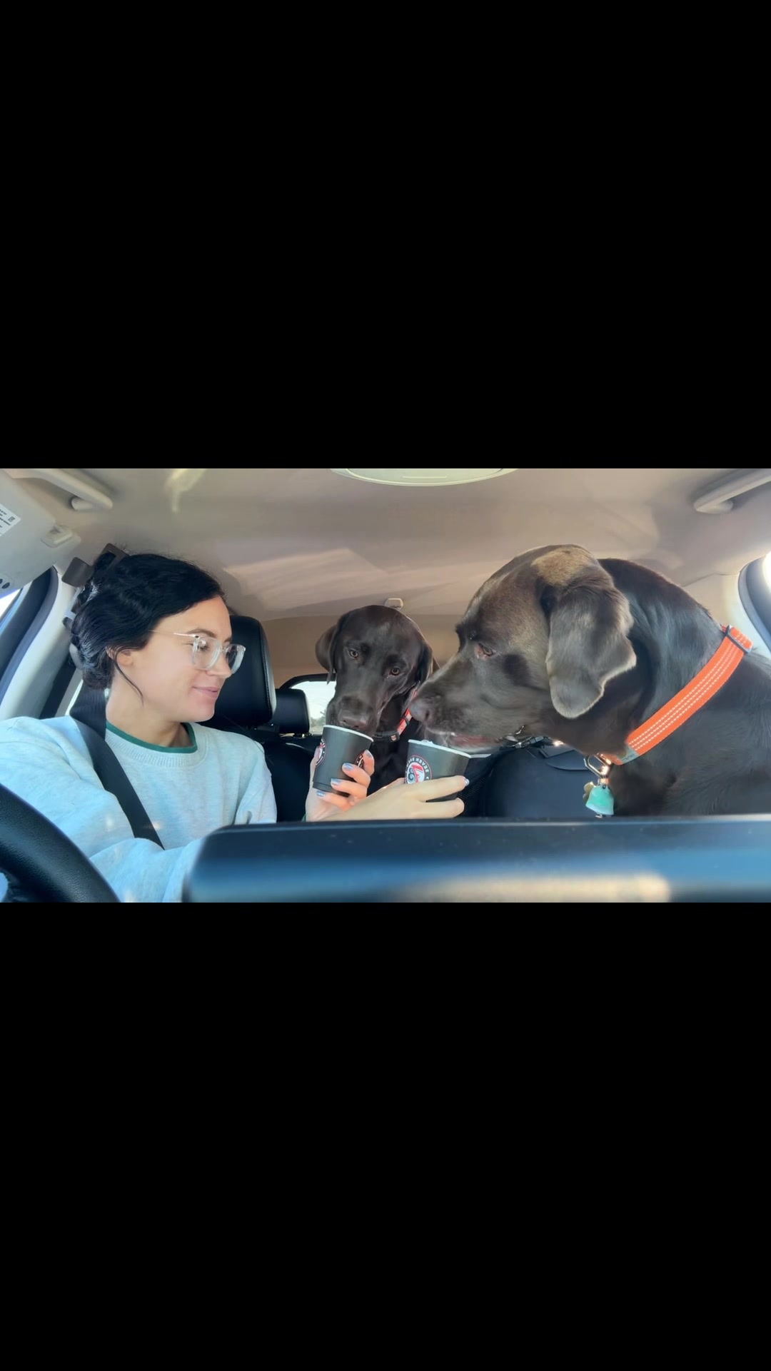 @Mel & Moose 🤎🐾
