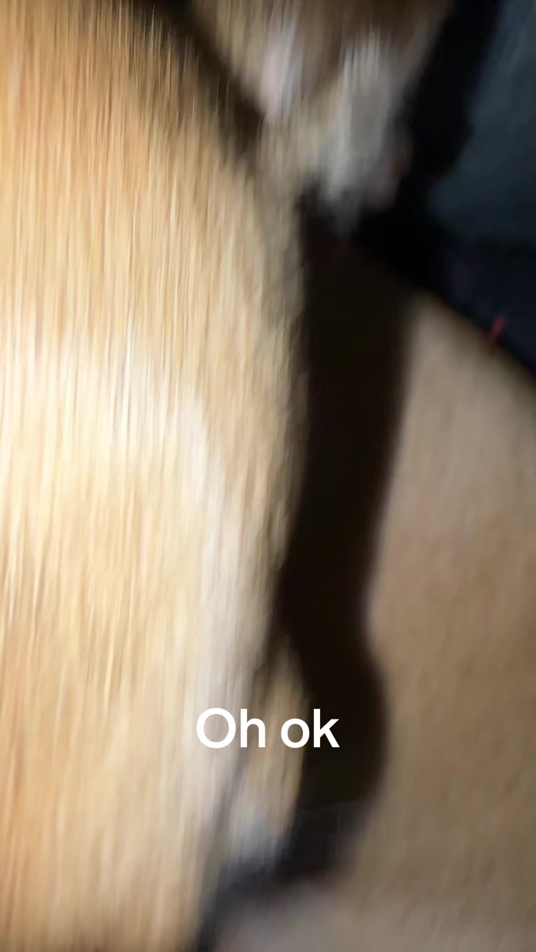 @🎮ONROE👹🥒✡️