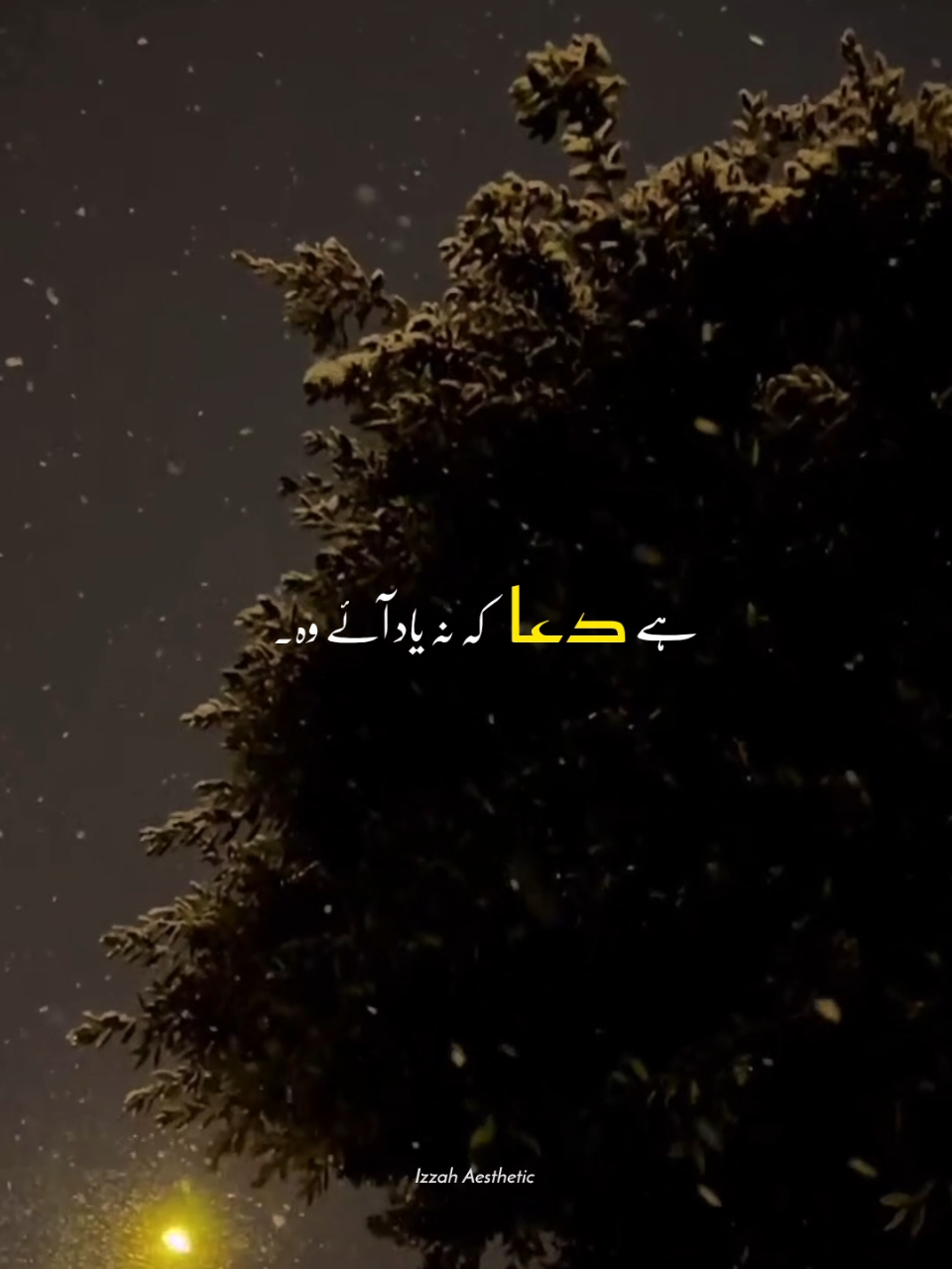 @𝙄 𝙕 𝙕 𝘼 𝙃 🕊️•