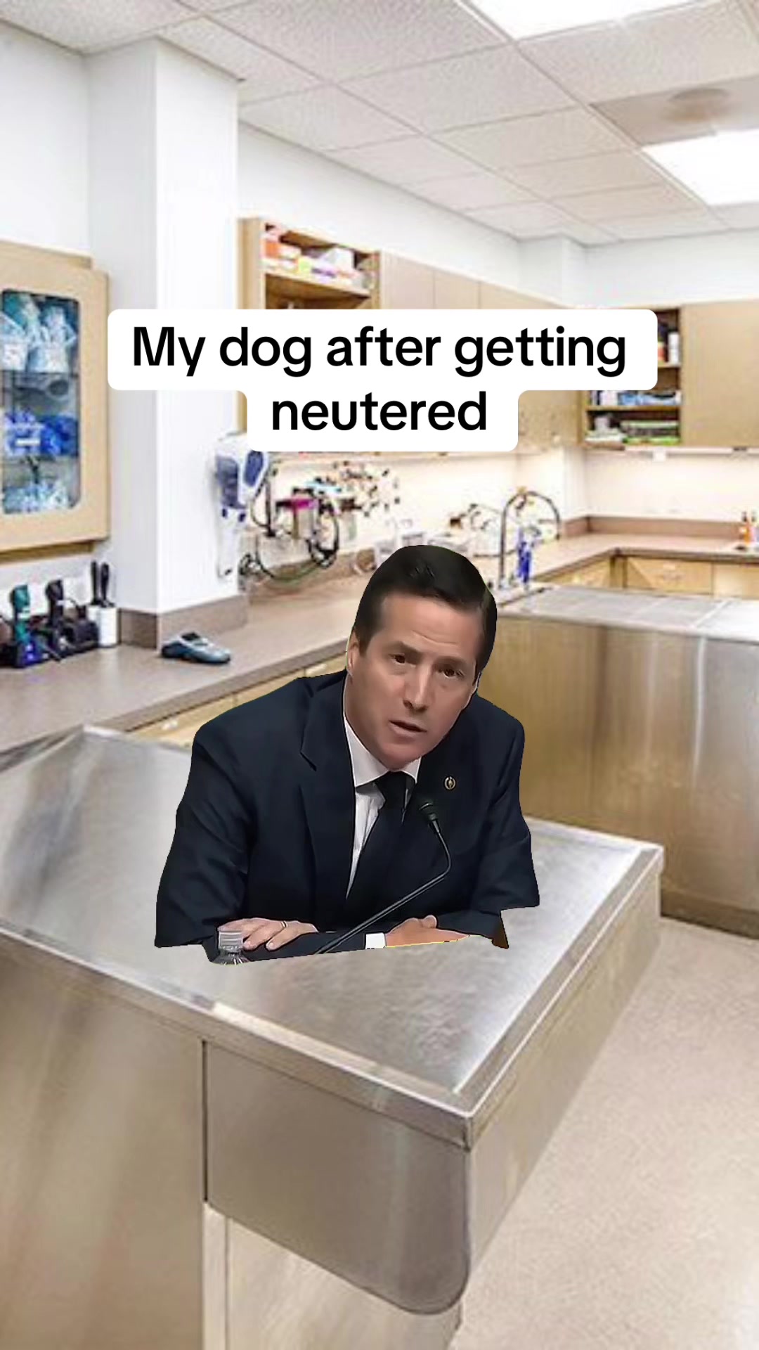 @2many.mutts