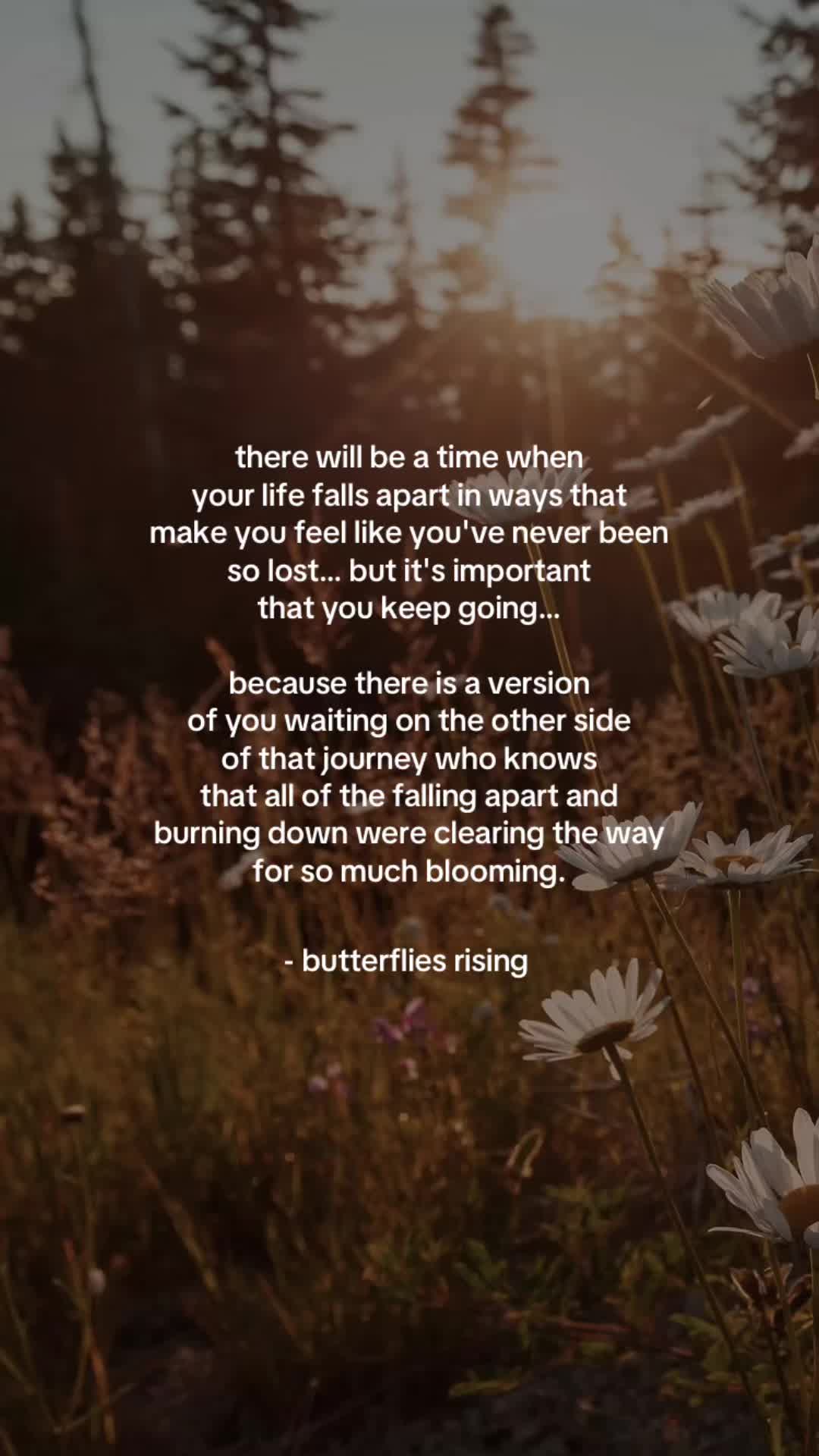 @butterflies rising