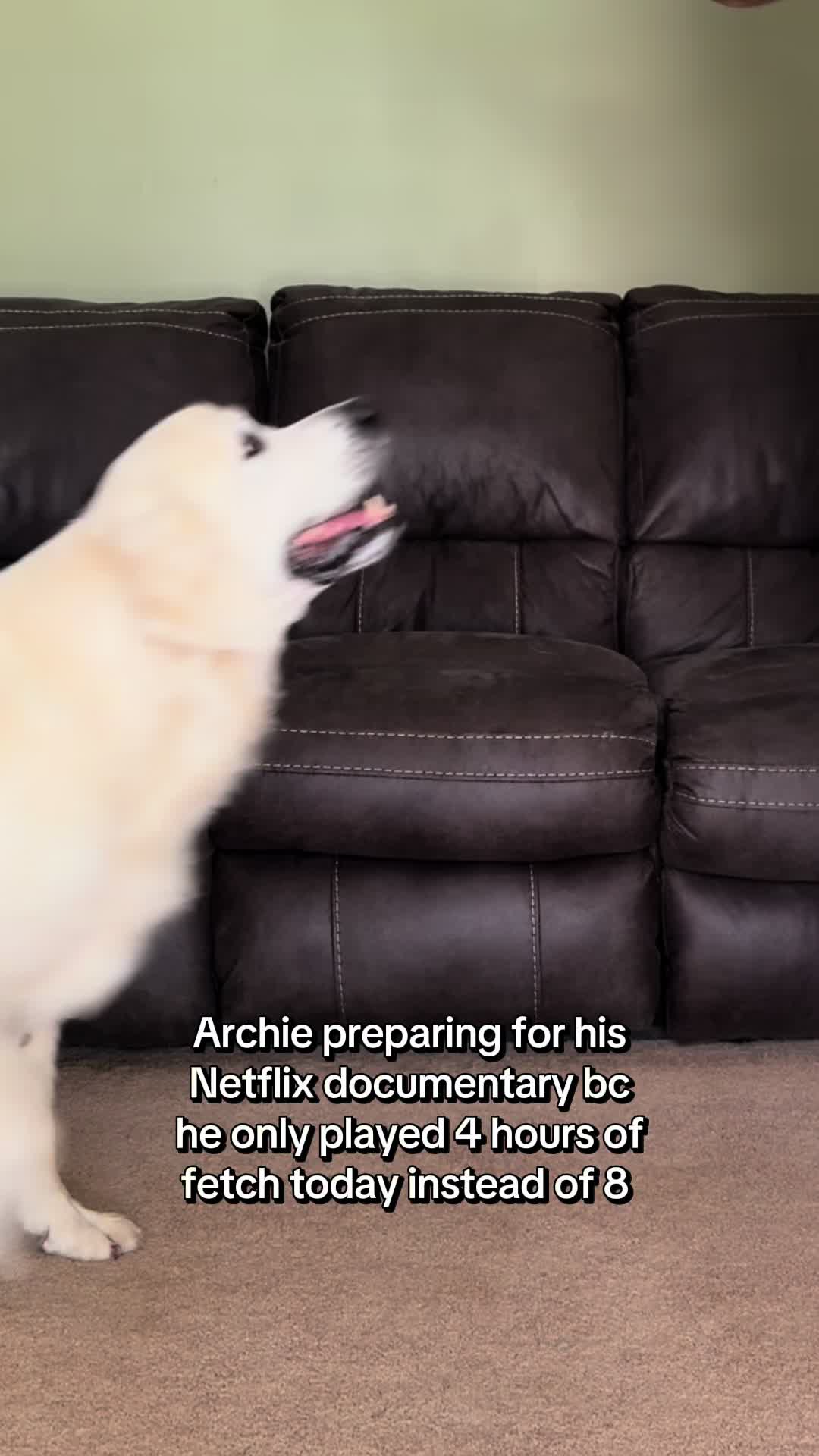 @archie.and.the.egg