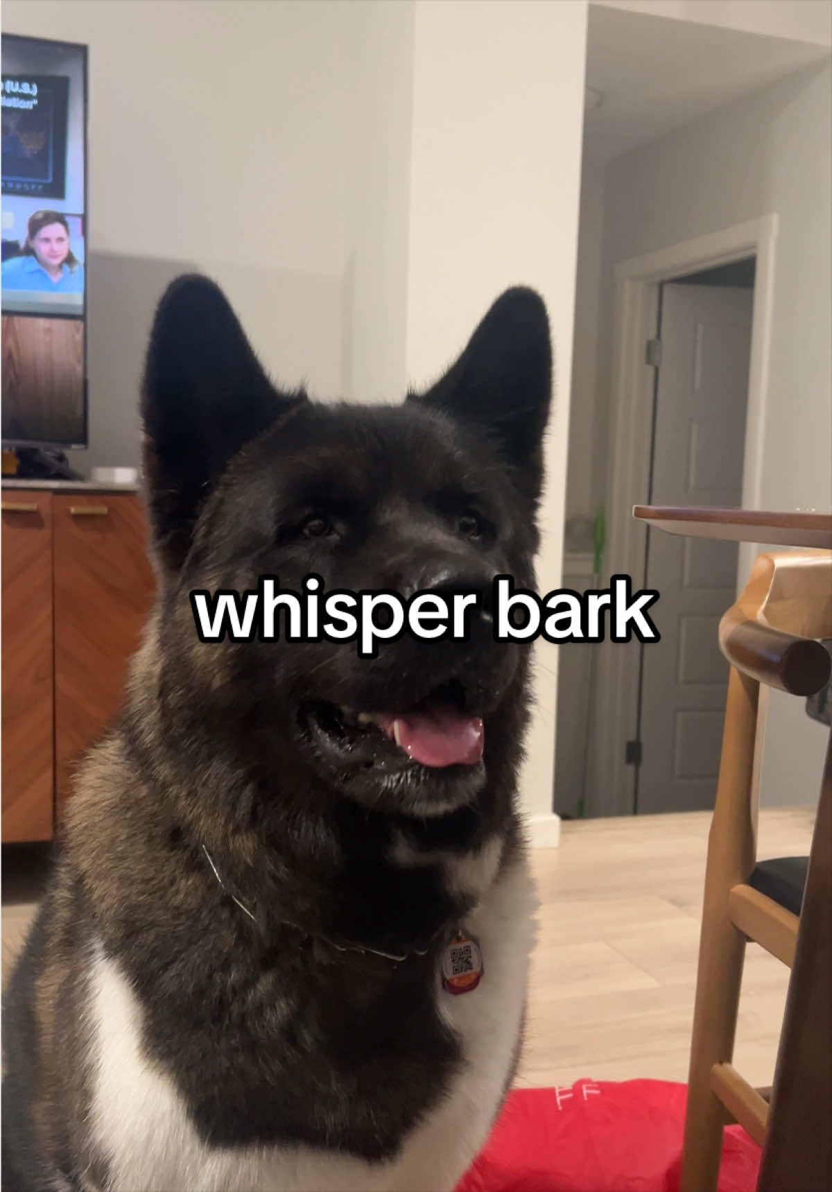 @tiara + winnie
