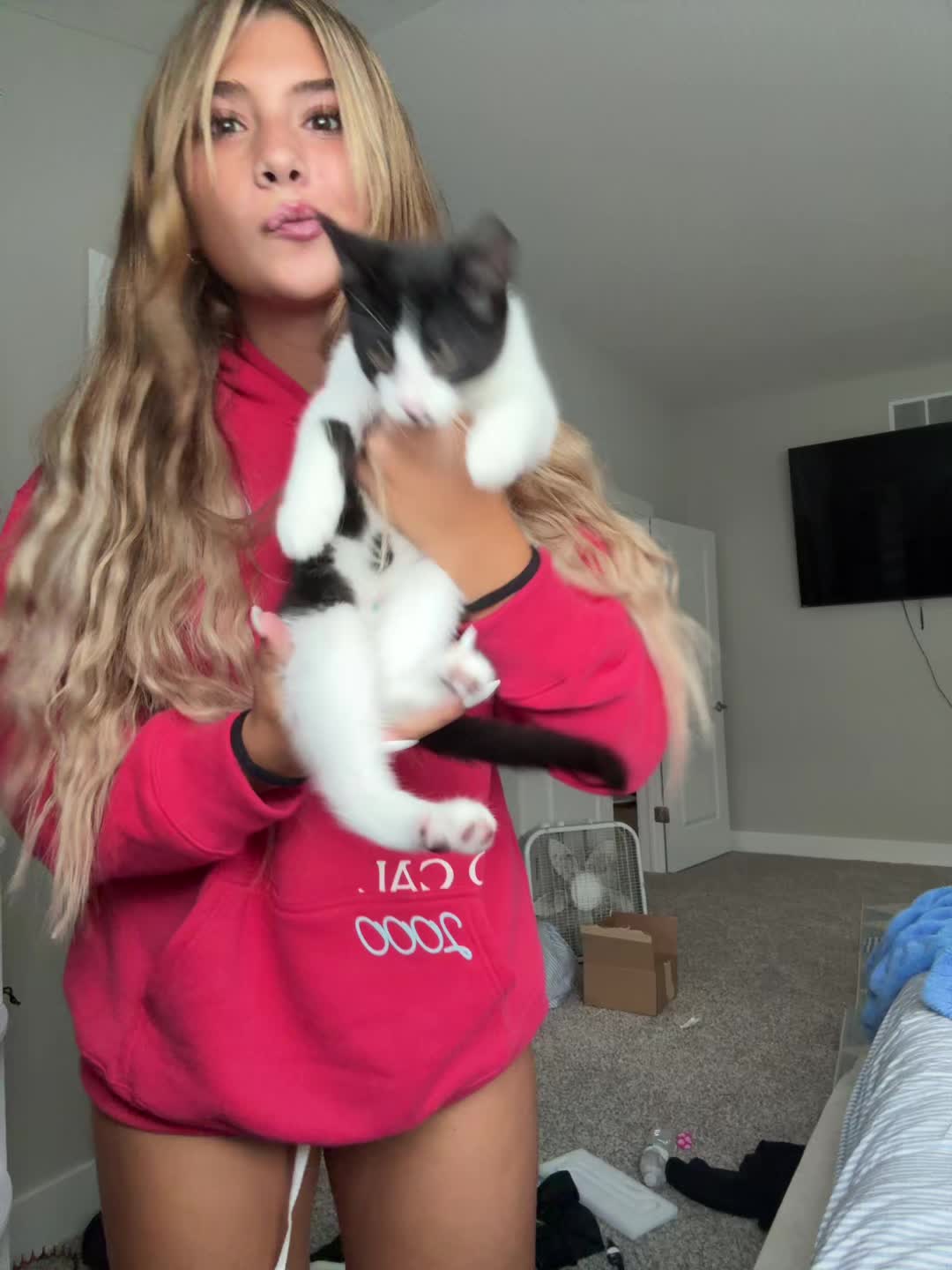 @secret233979