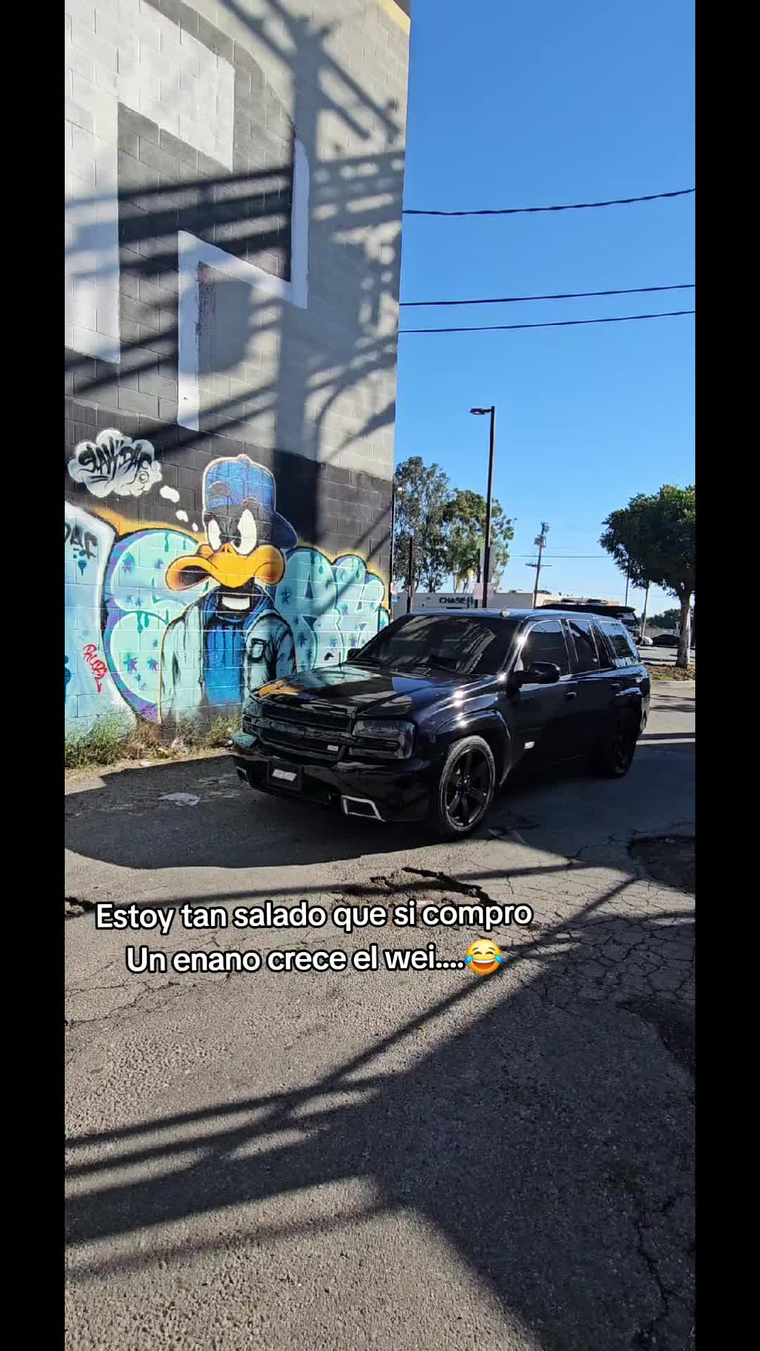 @tbss_isidro🦍