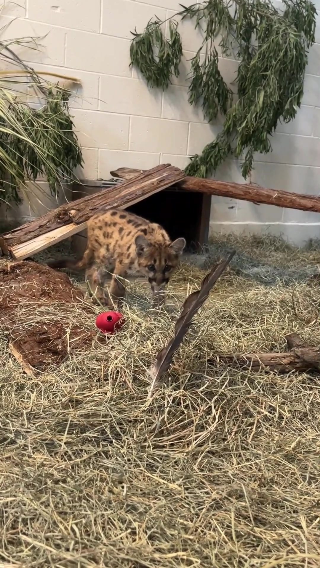 @Oakland Zoo