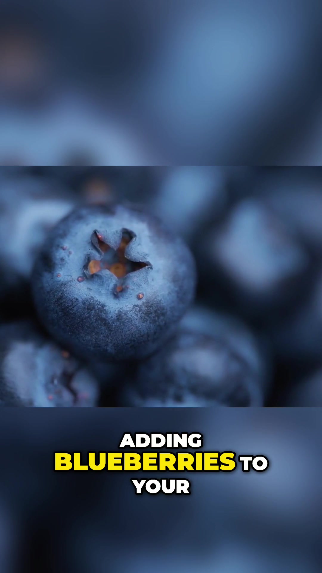 @LivingHappyLonger