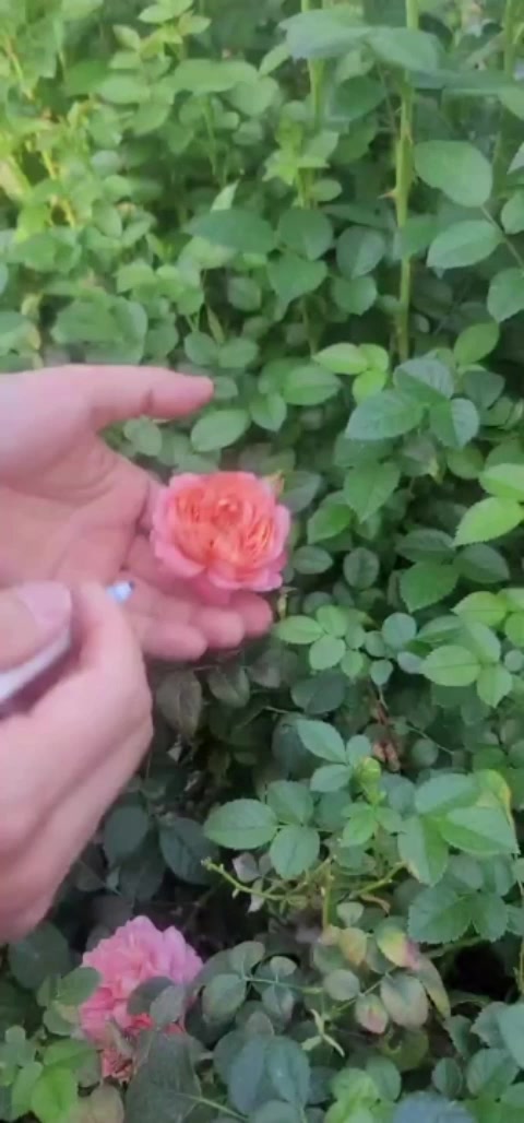 @농사는 장비빨