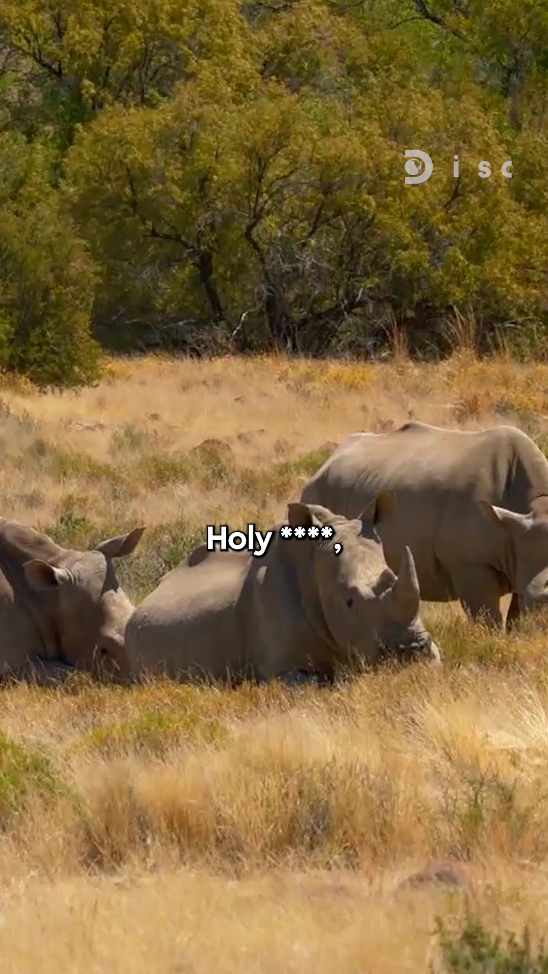 @Discovery