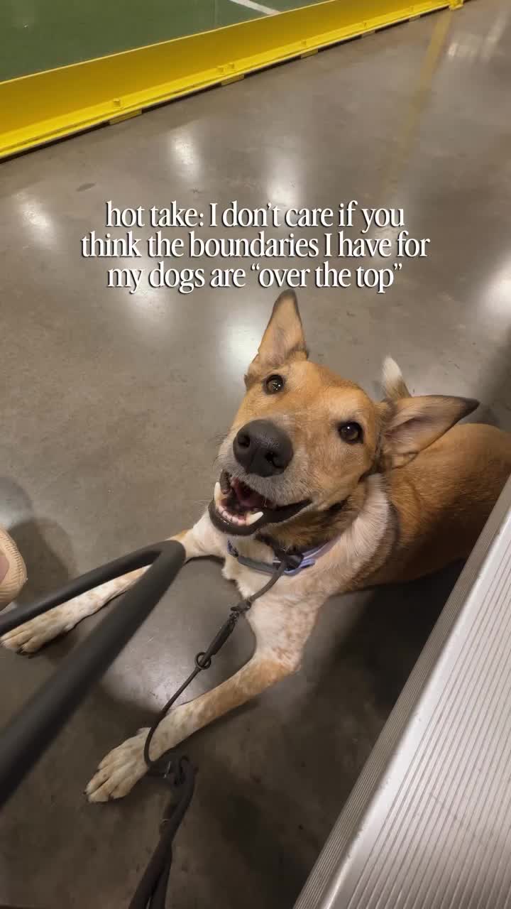 @Marissa | Kota & Aspen
