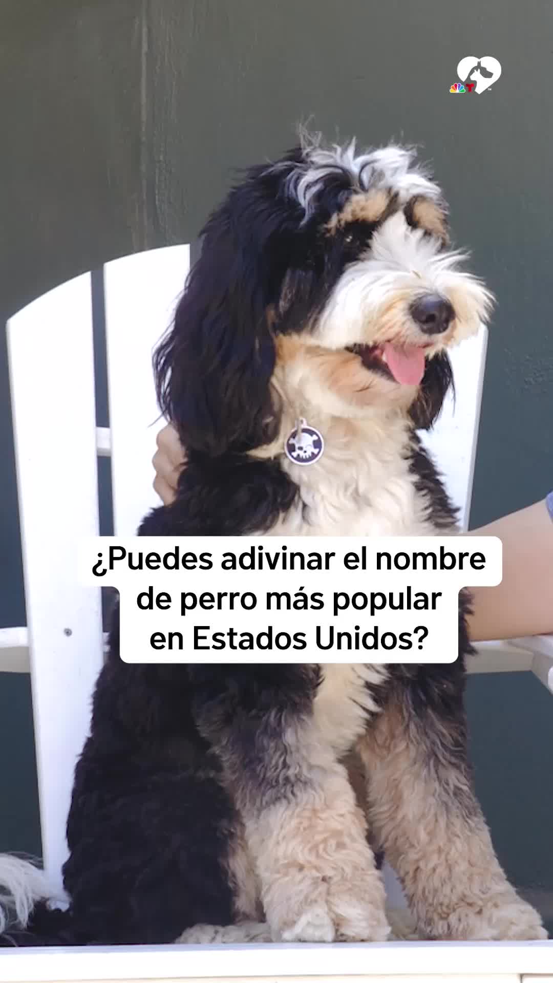 @telemundosandiego