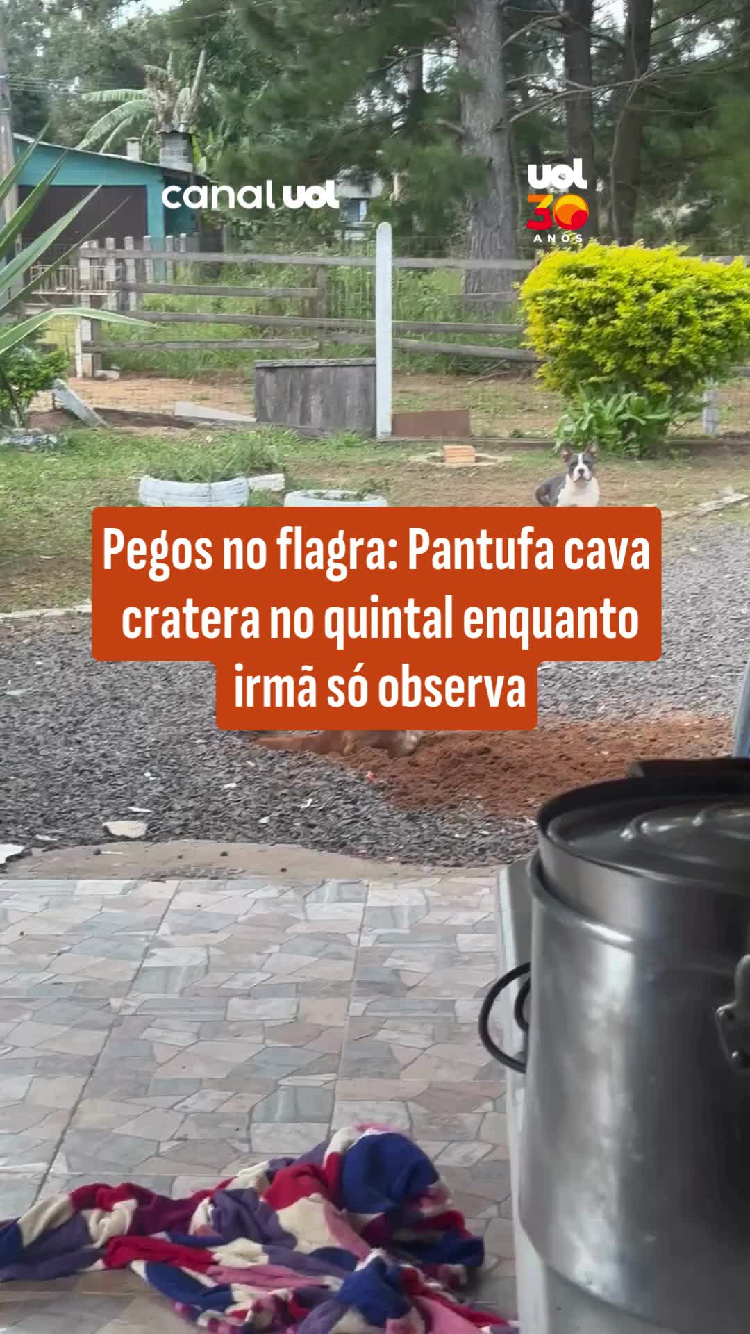 @uol