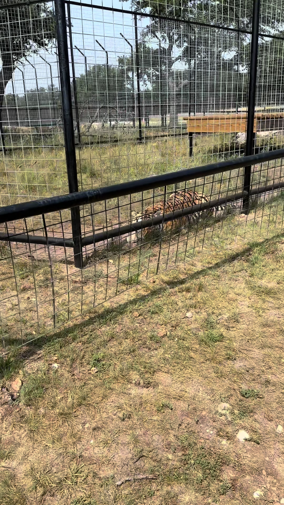 @Texas Wildlife Park