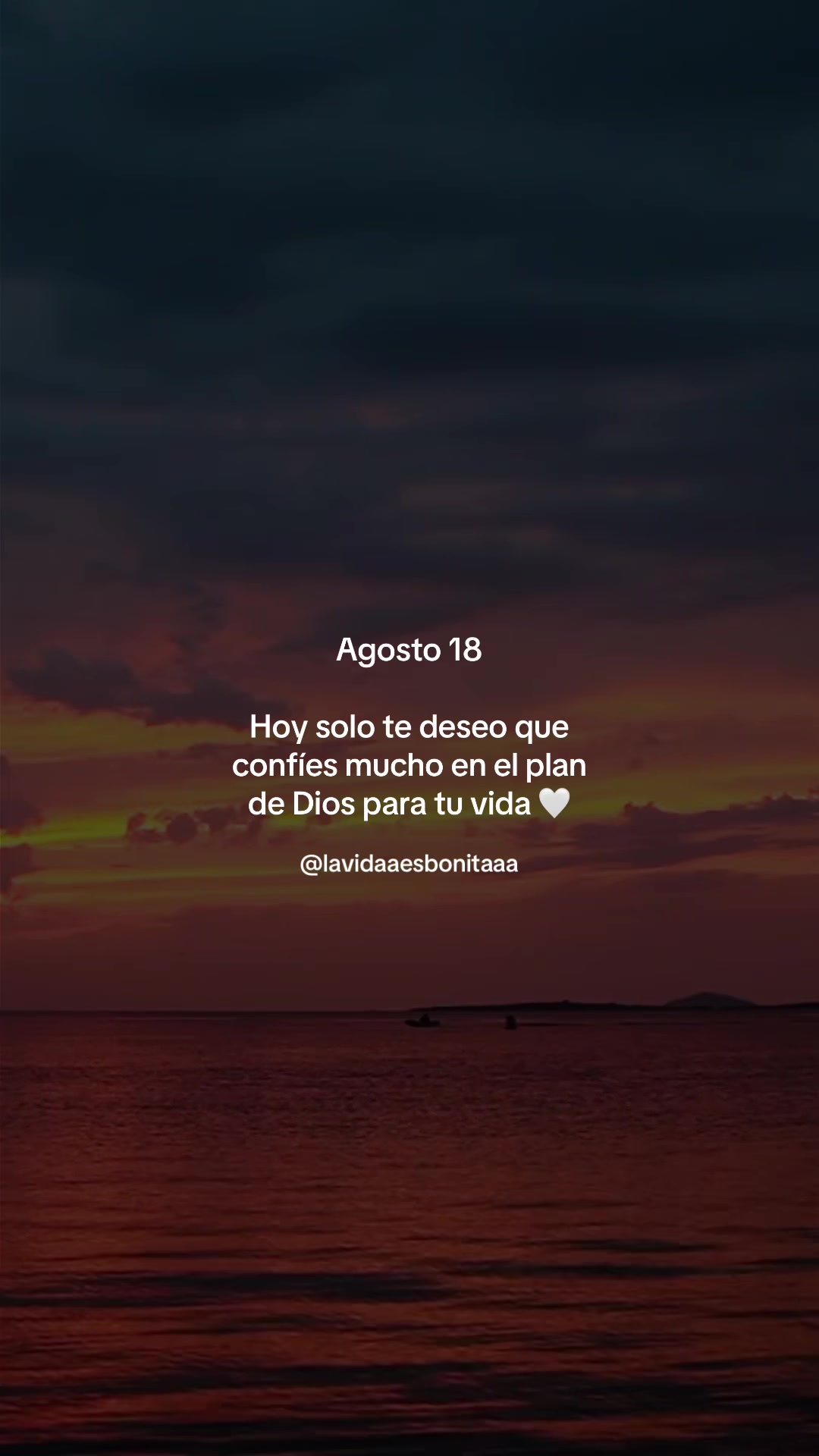 @vidabonita❤️🩹