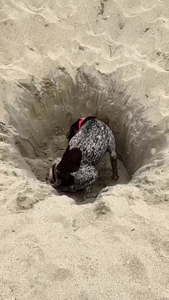 @alice_the_gsp