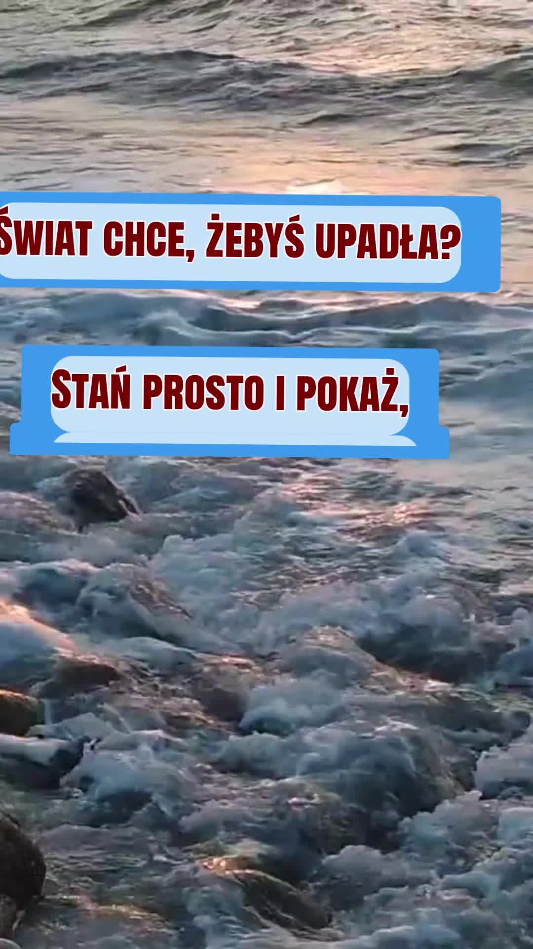 @Śladami Zebry
