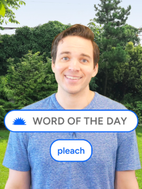 @Dictionary.com