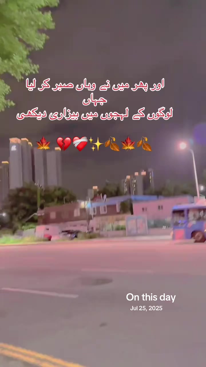 @shaista in korea