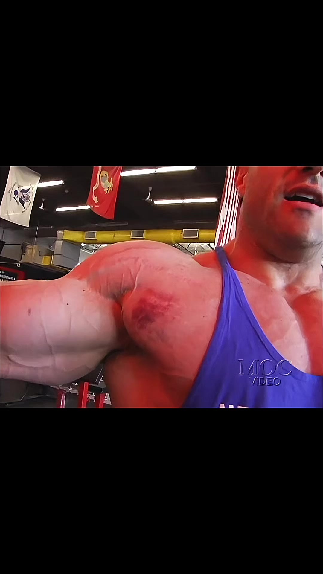 @MuscleUp
