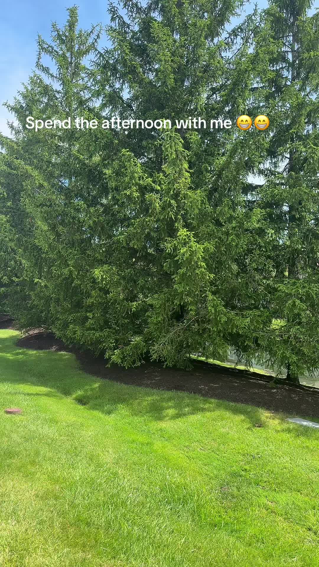 @avadigiacomo